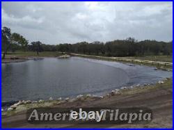 18x30 Pond liner, 40+years warranty, HDRPE Best fiber! Spring sale, Free shipping