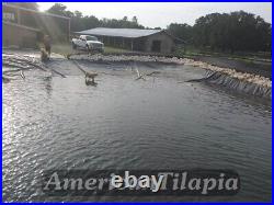 18x30 Pond liner, 40+years warranty, HDRPE Best fiber! Spring sale, Free shipping