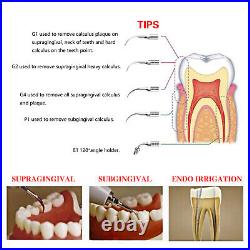 Dental Wireless Digital Ultrasonic Scaler with LED Detachable Handpiece Fit EMS