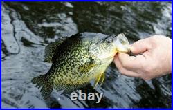 ULTRALIGHT ROD SALE Fuji Japan 1-8lb. Trout Crappie 4ft. 4in. US seller