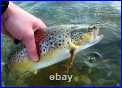 ULTRALIGHT ROD SALE Fuji Japan 1-8lb. Trout Crappie 4ft. 4in. US seller